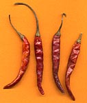 chile de &aacute;rbol