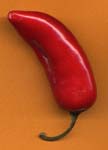 red jalape&ntilde;o